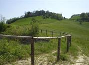 Torre Boriano resti