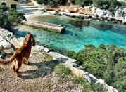 Spiaggia Cala Dragunara