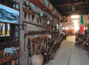 Museo della Civiltà Contadina