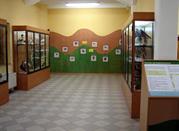 Museo Ornitologico