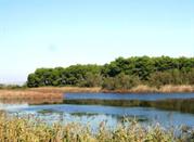Lago Salinella