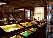Museo di Storia Naturale A.Stoppani