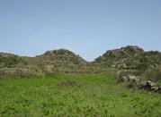 Monte Filo dell'Arpa e Sciara dell'Arpa