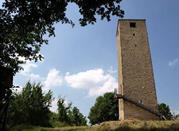 Torre Lavacchio