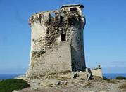Torre Falcone