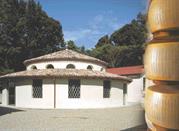 Museo del Parmigiano Reggiano