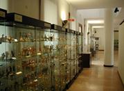 Museo della Ceramica dell' Istituto d' Arte 