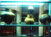 Museo Civico Paleontologico