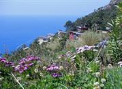 Bosco e Spiaggia del Villaggio la Francesca