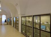Museo Missionario Cinese e di Storia Naturale