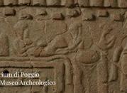 Antiquarium di Poggio Civitate