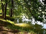 Arboreto di Vallombrosa