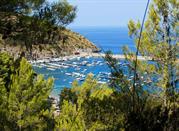 Area Marina Protetta di Castellabate