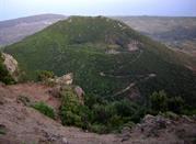 Monte Gibele