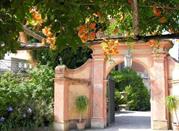 Orto Botanico Hanbury