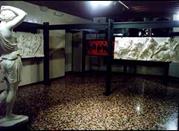 Museo Civico delle Scienze