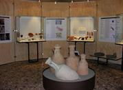 Museo Civico 