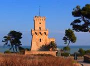 Torre Cerrano