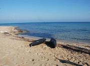Spiaggia Torre Veneri