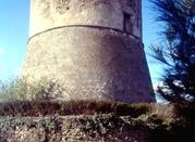 Torre Angioina