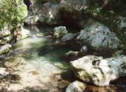 Oasi Grotte del Bussento