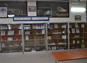 Museo Didattico Archeologico