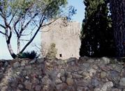 Torre di Lividonia