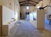 Mostra Permanente di Paleontologia