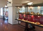 Civico Museo Storico Archeologico