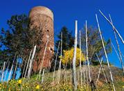 Torre di Montaldo