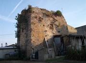Torre Mucchia