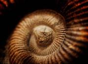 Museo di Storia Naturale