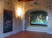 Museo Archeologico Nazionale del Melfese