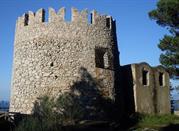 Torre Damecuta