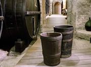 Museo di Storia dell' Agricoltura