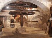 Antico Frantoio
