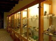 Museo dei Fossili e Minerali del Monte Nerone