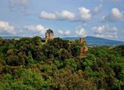 Torre di Castel d'Asso