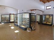 Museo Geopaleontologico dei Fossili della Lessinia