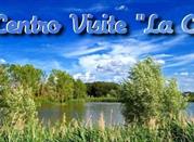 Oasi Riserva Lago di Montepulciano