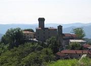 Castello e Torre di Olmo