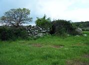 Tomba dei giganti Lassia Borore 