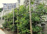 La Limonaia del Castel