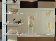 Museo Archeologico