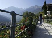 Passeggiata Tappeiner