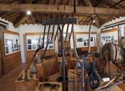 Museo del Bosco