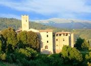 Castello di Biscina