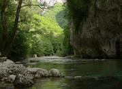 Bosco di Frasassi