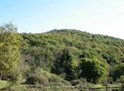 Monte Musino