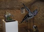 Museo del Mare